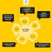 Lemon Pharma Gouttes Fleurs de Bach N 39 Bio m lange traditionnel pour accompagner les moments charg s du quotidien vegan 10 ml - Buy Online on GoSupps.com