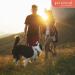 Sneezonal Defense Allergy Relief - Natural Herbal Supplement for Seasonal Support | 120 Non-GMO & Gluten-Free Capsules - Buy Online on GoSupps.com