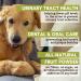 Wholistic Pet Organics WholeCran Intense - Organic Dog Cranberry Powder for UTI and Kidney Health - 2 Oz - Buy Online on GoSupps.com