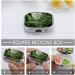 Buy Tropical Rainforest Print Pill Box | 2 Compartment Decorative Metal Pill Organizer for Travel - Portable & Stylish - Buy Online on GoSupps.com
