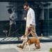 Buy Moyouno 8m Retractable Dog Leash - Automatic Pull-Out High-End Pet Lead for Small Medium & Large Dogs (Red) - International Shipping - Buy Online on GoSupps.com
