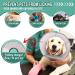 Soft Dog Cone Collar for Dog & Cat Recovery - Comfortable Alternative - Grey - M (7.5 Depth) - Buy Online on GoSupps.com