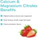 SISU Cal Mag Citrates Liquid with D3 | 450 mL Liquid | High Potency Calcium and Magnesium Sugar Free Liquid with 500 IU Vitamin D | Suitable for Children and Adults | Gluten Free Diary Free Strawberry Strawberry 450 ml (Pack of 1) - Buy Online on GoSupps.com