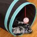 5-Way Collapsible Cat Tunnel Toy | Pet Playhouse with Storage Bag | Ideal for Cats, Puppies, Rabbits, Ferrets, Guinea Pigs | Indoor & Outdoor Use - Buy Online on GoSupps.com