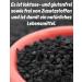 Organic Black Cumin 200g - Nigella Sativa | Certified Organic DE- KO-039 | Premium Omveda Spices for Cooking Tea & Oil | Imported from Egypt - Buy Online on GoSupps.com