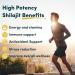 Solavica Shilajit Capsules 1300mg per Serving with Ashwagandha Root Extract 60% Fulvic Acid Pure High Strength Shilajit Supplement for Stamina and Stress 60 Count (Pack of 1) - Buy Online on GoSupps.com