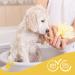 Beaphar Puppy Shampoo Enriched with Camomile & Aloe vera Specially Formulated for a Puppy s Sensitive Skin Vegan Mild & pH Neutral For Fresh Clean Shiny Coats 250 ml Yellow - Buy Online on GoSupps.com