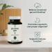 Stem & Root Go Away Gas Supplement | Vegan & Gluten-Free Probiotics Digestive Enzymes & Ginger | Relieves Occasional Gas | 30 Capsules - Buy Online on GoSupps.com