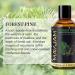 MAYJAM 100ML Black Orchid and Forest Pine Fragrance Oils Essential Oils - Buy Online on GoSupps.com
