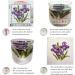 Funxvoot Stamped Cross Stitch Kit for Adults - Cute Owl Design - DIY Embroidery Starter Kit - 15.7 x 22 inch - 23 Colors - Buy Online on GoSupps.com