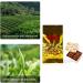 Tieguanyin Th Haute Montagne Cravate Chine Guan Yin Cravate Guan Yin Oolong Th pour Anxi Parfum Ar me Th Fonc  - Buy Online on GoSupps.com