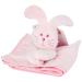Sharples Puppy Blanket Pink