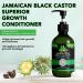 Jamaican Black Castor Oil Shampoo & Conditioner Set | Strengthen & Restore | 10.56 fl. oz | Hair Growth Gift Set - Buy Online on GoSupps.com