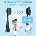 Pack of 5 Soft Charcoal Bristle Replacement Heads for Burst Sonic Toothbrush with Dust Covers - Deep Clean & Long-lasting Results - Buy Online on GoSupps.com