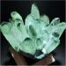 Natural Green Ghost Crystal Cluster Phantom Quartz Rock Stones and Crystals Reiki Specimen Home Decor Decoration Gift Stone Mineral Specimen (Color : A Army Green Size : 900-1000g) 900-1000g A Army Green - Buy Online on GoSupps.com