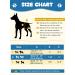 Petbank Reusable Dog Diapers | 3 Hygienic Washable Diapers for Bitches | Adjustable Fit & Diaper Boost Pads | Blue & Gray (Medium) - Buy Online on GoSupps.com