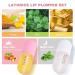 DEROL Lip Plumper Set - Lip Plumper Gloss & Lip Care Serum for Fuller Lips - Hydrating, Reduces Fine Lines - 5.5ml, Set of 2 - Buy Online on GoSupps.com