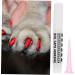 Beaupretty 40 Pieces Nail Tips for Pets Sharp Nail Glue Nail Set - Buy Online on GoSupps.com