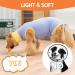 Avont Dog Recovery Suit - Postoperative Wound Protection for Neutered Males & Bitches - Blue (3XS) - Prevents Leak & Ensures Comfort - Buy Online on GoSupps.com