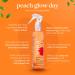 Brazilian Leave In Hair Conditioner - Anti-Frizz UV Heat Protection Vegan Treatment for All Hair Types - Peach Glow 6.76 fl oz - Buy Online on GoSupps.com