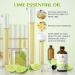 EVOKE OCCU Tea Tree Essential Oil and Lime Essential Oil - 4 Fl Oz - Buy Online on GoSupps.com
