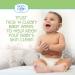 Nice 'N Clean Plant-Based Scented Baby Wipes - Green Tea Cucumber - 64 Wipes x 6 - Buy Online on GoSupps.com