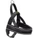 HUNTER RACING Norwegian harness XXL black XXL black
