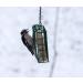 C&S Suet Treats 12 Pack Woodpecker - Premium Wild Bird Feeding Solution - Buy Online on GoSupps.com
