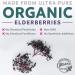 Organic Elderberry Capsules - Immune Support & Sinus Relief - 10:1 Extract - 30 Vegan Caps - Sambucus Nigra for Allergy Relief - Buy Online on GoSupps.com