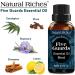 Five Guards Essential Oil Blend 30ml - Clove, Cinnamon, Lemon, Rosemary, Eucalyptus Aromatherapy Oil for Health Shield - 1 Fl Oz - Buy Online on GoSupps.com