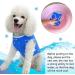 Crufts Pet Cooling Vest in Colour Box Small - Buy Online on GoSupps.com