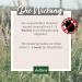 AniForte Mite-Stop Powder for Dogs Cats & Small Animals - 50g | Natural Defense Against Insects Parasites & Mites - Chemical-Free Solution - Buy Online on GoSupps.com