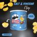 Pringles Crisps Pop & Go Travel Tin Pick N Mix - Create Custom Tin-Pack Combo with 4 Flavours | Original Salt Vinegar Sour Cream Onion Texas Barbecue General-Pringles 40g | Pack of 12 (3 of Each) 40 g (Pack of 12) - Buy Online on GoSupps.com