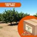 Presto Sales Raw Hazelnuts (Filberts) In Shell 160 oz. | Non-GMO Healthy Snack | Keto/Paleo Friendly | Oregon USA | 10 lbs. Bag in Box - Buy Online on GoSupps.com