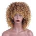Afro Wig Women Brown Wavy Party Synthetic Curly Cosplay Long Hair Long 50s 70s 80s 60s Hair