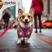 Petex Dog Harness for Small & Medium Dogs - TUV Tested Made in Europe | Reflective Breathable Air Mesh Technology - Purple XS - Buy Online on GoSupps.com