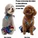 CuteBone Dog Bikini 2-Pack Swimsuit for Small Dogs - Girl Costume Beach & Fruits Theme - Buy Online on GoSupps.com