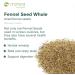 Mimea Fennel Seed Whole | 1kg | Quality Ingredients | Great for Cooking | Herbal Remedy | Natural | Great for Pickling - Buy Online on GoSupps.com