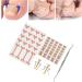 Ingrown Toenail Correction Fixer 13pcs Patch for Manicure Care Pedicure Tools - Buy Online on GoSupps.com