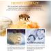 2Pcs Royal Jelly Face Cream Bee Venom Lifting Face Cream Anti Aging Face Cream for Dry Face - Buy Online on GoSupps.com