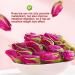 Plant Gift Rose Buds Tea 50G/1.76oz For Beauty Premium 100% Organic Intact Rose Tea Herbal Tea with Rich aroma Relieve Anxiety& Promote Metabolism Caffeine-Free - Buy Online on GoSupps.com