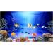 Hidom Aquarium Background Poster Double Sided - Height 19" / 50cm - Length 6 FT / 183cm - Two Scenic Pictures displaying Aquatic Backdrops - DS 500-9081/9083 - Buy Online on GoSupps.com