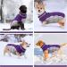 Kuoser Waterproof Dog Coat - Cold Weather Jacket for Small & Medium Dogs | Fleece Lined Reflective Vest | Cozy XS Purple Pet Clothing - Buy Online on GoSupps.com