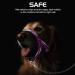 Pawaboo Dog Halter - Adjustable Reflective Nylon Training Harness for Small Dogs - Pet Safe Control - Purple Violet - Buy Online on GoSupps.com