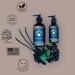 Temptation Aromas Warm Sandalwood 3 piece Fragrance Gift Set 4oz Body Oil - Buy Online on GoSupps.com