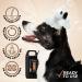 GROOM Professional Argan Oil Conditioner for Dogs - Repair & Care for Damaged Hair - Hydrating Solution for Dry Itchy Skin - 4L - Buy Online on GoSupps.com