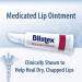 Blistex Medicated Lip Ointment 0.21 Ounce Tube Pack of 24 Relieves Cold Sores & Helps Heal Dry Chapped Lips Pain Relief from Lip Sores & Blisters Healing Ointment Medicated Lip Ointment 0.21 Ounce (Pack of 24) - Buy Online on GoSupps.com