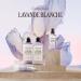 L'OCCITANE - Cr me Mains - Fabriqu en France Lavande Blanche 30 ml - Buy Online on GoSupps.com