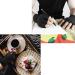 cogae Arthritis Compression Gloves Copper Fiber Comfort Arthritis Glove for Rheumatoid Arthritis Carpal Tunnel Therapy Wrist - Buy Online on GoSupps.com