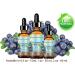 Buy Blueberry Seed Oil - Virgin Unrefined Cold-Pressed Carrier Oil for Face Body & Hair | 0.5 Fl. oz - Anti-Aging Moisturizer by Botanical Beauty - Buy Online on GoSupps.com
